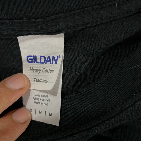 Sand worms - Picture 2 of 2